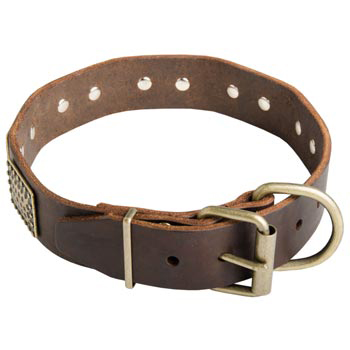 War-Style Leather Collar for Schutzhund Dog