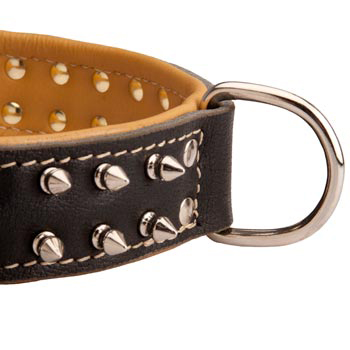 Padded Leather Schutzhund Dog Collar Spiked Adjustable for Training