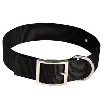 Schutzhund Dog Training Collar with ID Tag