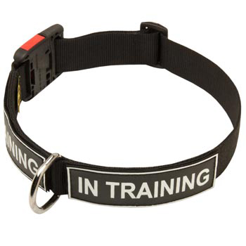 Nylon Schutzhund Dog Collar With ID Patches