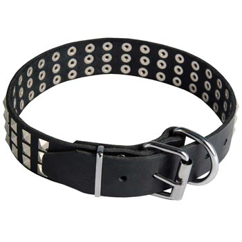 Leather Collar with Pyramids for Schutzhund Dog