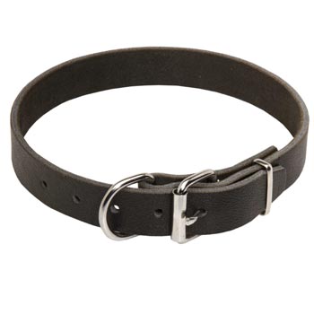 Dog Leather Collar for Schutzhund Dog Training and Walking