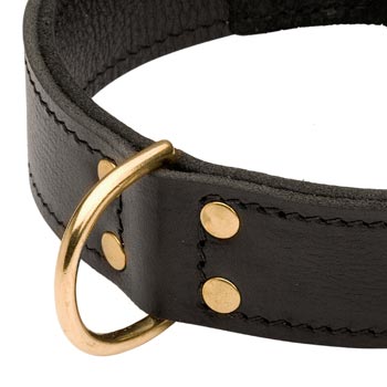 Brass D-ring Stitched to Leather Schutzhund Dog Collar