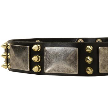 Stylish Leather Dog Collar for Schutzhund Dog