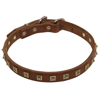 Schutzhund Dog Leather Collar For Walking And  Training in Style