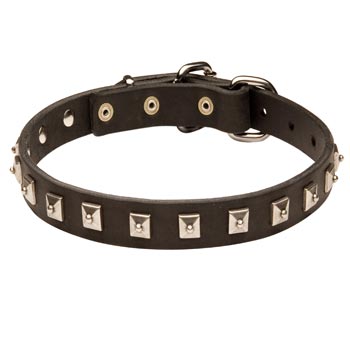 Schutzhund Dog Walking   Leather Collar with Studs