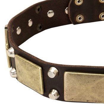 Leather Schutzhund Dog Collar with Nickel Studs