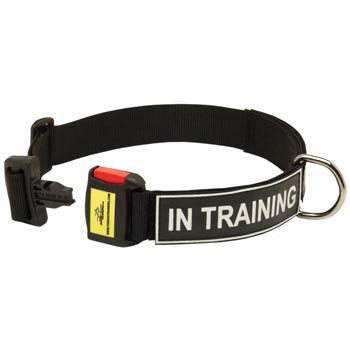 Nylon Dog Collar for Schutzhund Dog Police Training