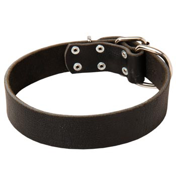 Unbelievable Schutzhund Dog Strict Style Leather Dog  Collar