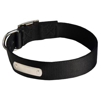 Nylon Schutzhund Dog Collar with Identification Tag