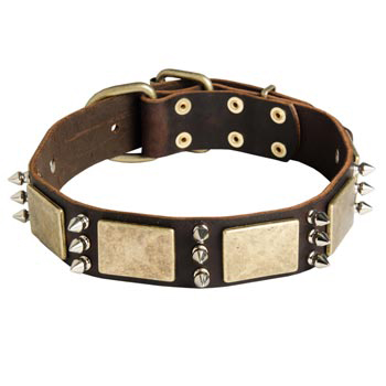 War-Style Leather Dog Collar 