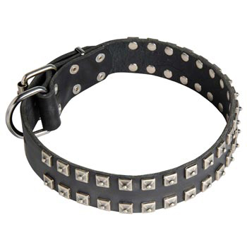 Leather Schutzhund Dog Collar Wide Strong Studded