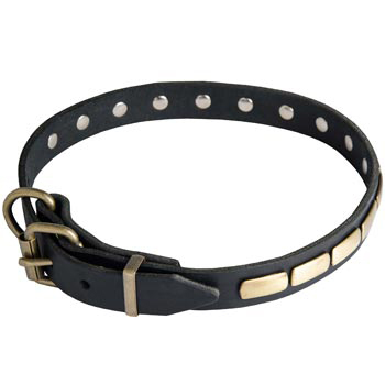 Schutzhund Dog Leather Dog Collar with Brass Buckle 