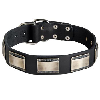 Leather Schutzhund Dog Collar with Solid Nickel Plates