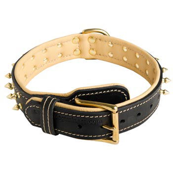 Leather Dog Collar Spiked Adjustable for Schutzhund Dog Walking