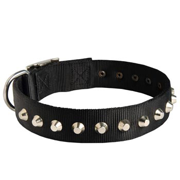 Walking Nylon   Schutzhund Dog Collar Nickel Studded Waterproof