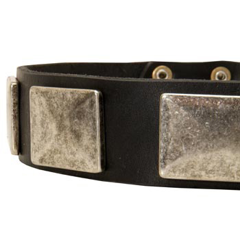 Wide Leather Schutzhund Dog Collar for Walking