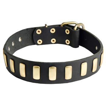 Schutzhund Dog Collar Leather with Brass Hardware