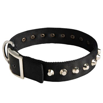 Nylon Buckle Dog Collar Wide with Studs for   Schutzhund Dog