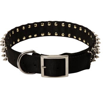 Schutzhund Dog Wide Dog Nylon Collar Spiked