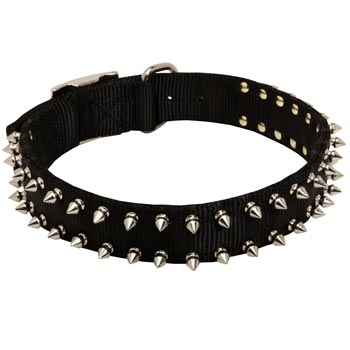 Schutzhund Dog Dog Nylon Collar Steel Nickel Plated Spikes