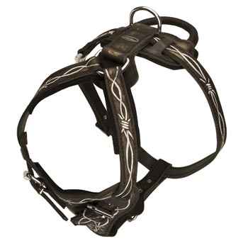 Agitation Training Leather Schutzhund Dog Harness