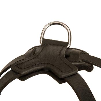 D-ring Attached to Schutzhund Dog Harness