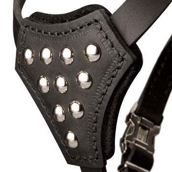 Schutzhund Dog Harness Leather with Studded  Breast Plate