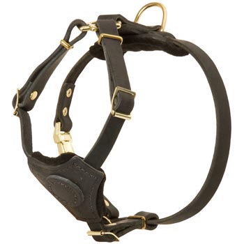 Light Weight Leather Puppy Harness for Schutzhund Dog