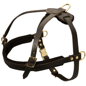 Leather Schutzhund Dog Harness for Dog Off Leash Training