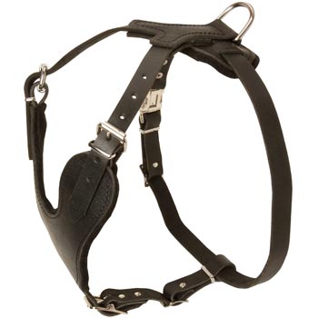 Schutzhund Dog Harness for Off-Leash Training