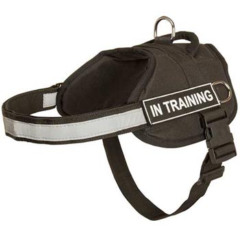 Nylon Schutzhund Dog Harness Multifunctional All-Weather Practical