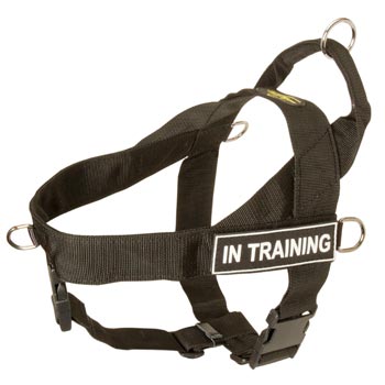 Schutzhund Dog Nylon Harness with ID Patches