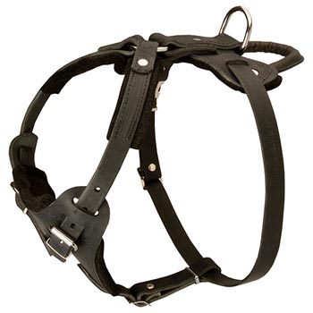 Leather Dog Harness for Schutzhund Dog Off Leash Training