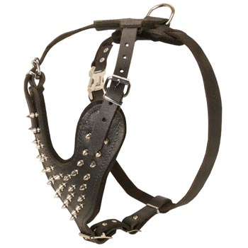 Spiked Leather Harness for Schutzhund Dog Walking