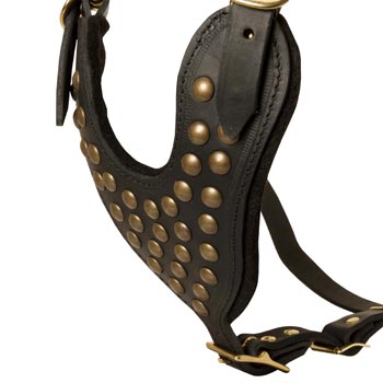 Studded Black Leather CHest Plate for Schutzhund Dog Comfort