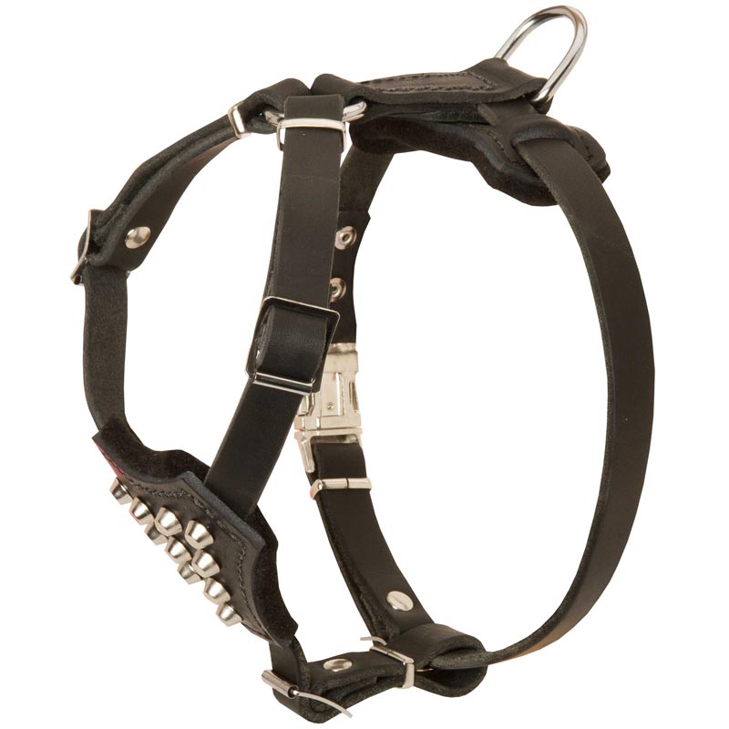 Schutzhund harness 2024