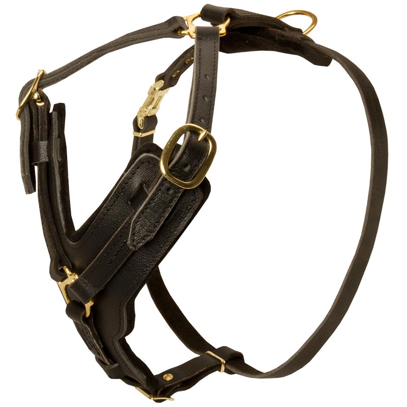 Padded Leather Schutzhund Dog Harness for Agitation Training H10 1123 Leather harness with Y shaped chest plate About the Dog Sport of Schutzhund Dog Training