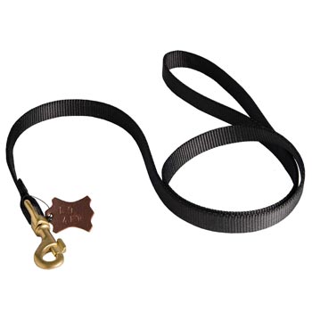 Walking Schutzhund Dog Leash