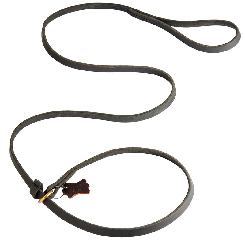 dog training leash