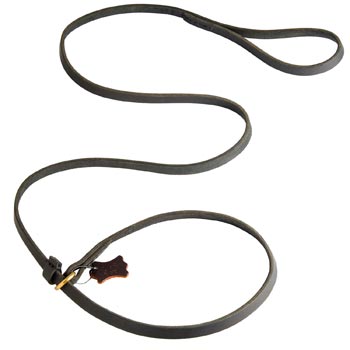 Best Choke Leather Schutzhund Dog Collar and Leash