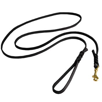 Best Walking Schutzhund Dog Leash Designer Supply for Walking in Style