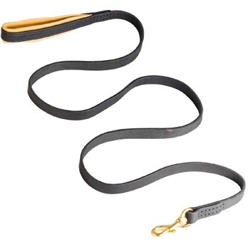 Padded Leather Schutzhund Dog Leash for Everyday Walking