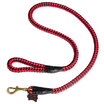 Schutzhund Dog Red Nylon Leash for Walking and Training