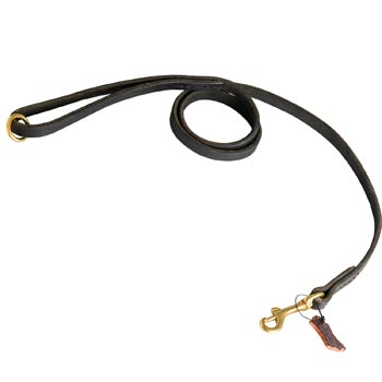 Strong Leather Schutzhund Dog Leash for Popular Dog Activities