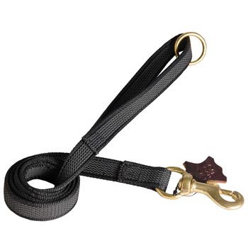 Nylon Leash for Schutzhund Dog Training will Help to Achieve Great Results