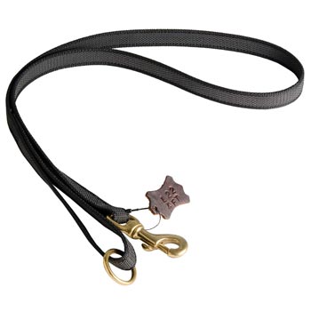 All Weather Nylon Leash for Schutzhund Dog Walking