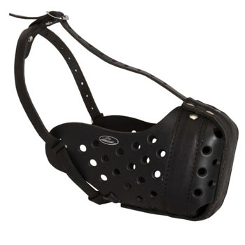 Training Leather Dog Muzzle for Schutzhund Dog