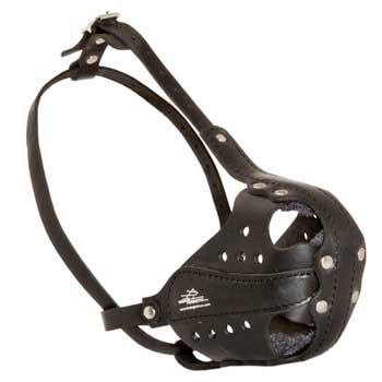 Schutzhund Dog Muzzle for Attack Training