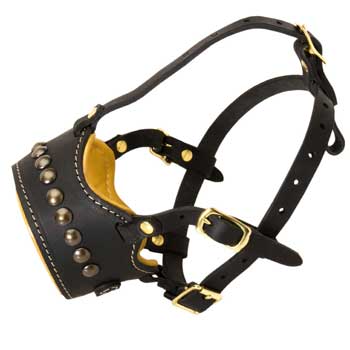 Padded Muzzle for Schutzhund Dog